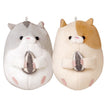 Hamster