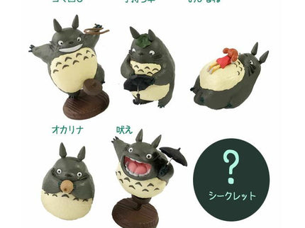 So Many Poses! - Totoro #2 (Box of 6)
