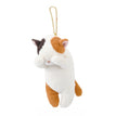 Mike Cat