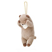 Kawauso Otter