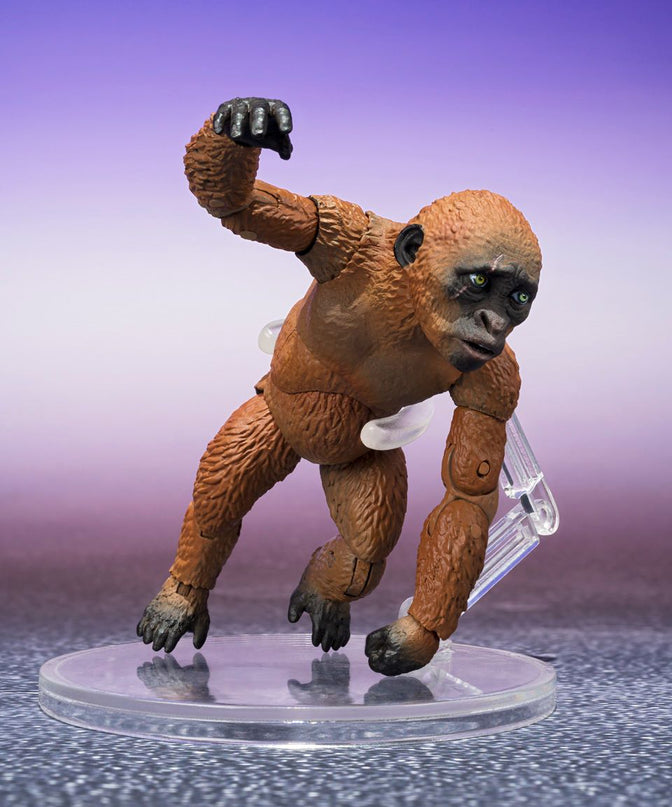 Suko & Mothra (2024) - Godzilla x Kong: The New Empire