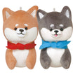 Shiba