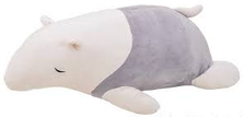 Anteater Rui L
