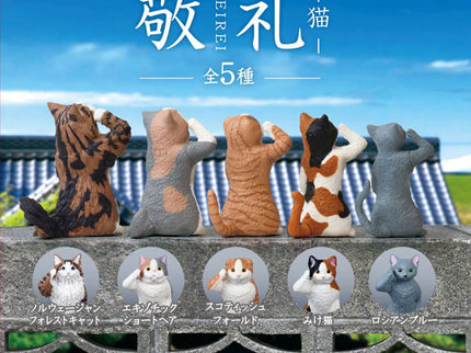 Keirei - Cat (Box of 10)