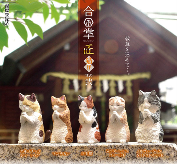 [NEW] Gassho Takumi Cat 2 (Box of 10)