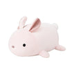 Rabbit L