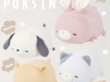 POKSIN Series