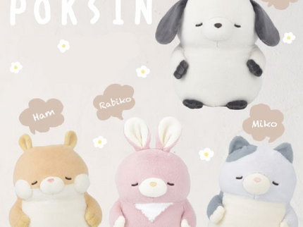 POKSIN Series