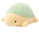 [Restock] Turtle