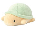 [Restock] Turtle