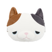Calico Cat Yuzu