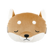 Shiba Dog Kotaro
