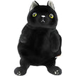 Black Cat