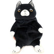 Kutsushita Cat