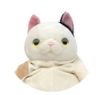 Mike Cat
