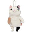 Mike Cat