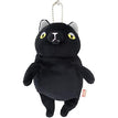 Black Cat