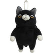 Kutsushita Cat