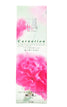 Carnation (120 Sticks)