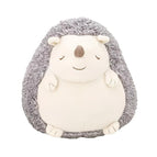 Hedgehog M