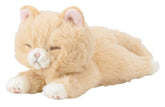 Mini Cushion - Brown Cat