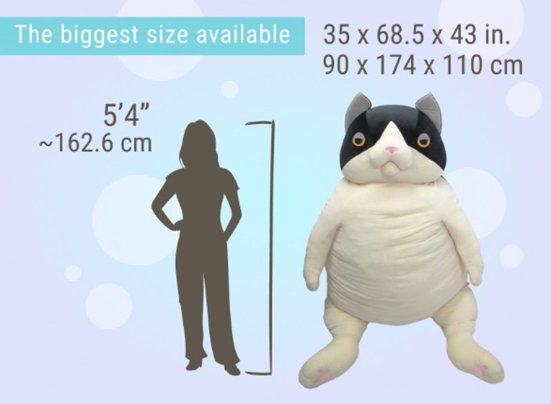 Mochi Neko Hachiware Cat XXXL [Biggest Size]