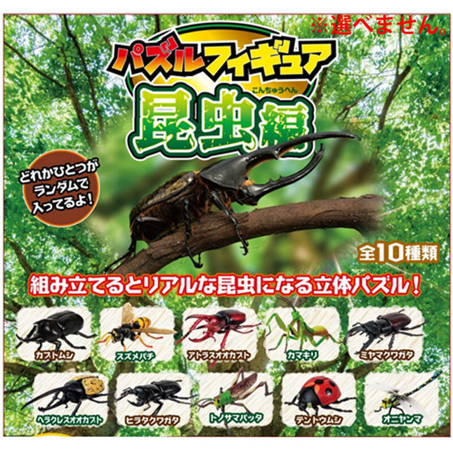 Puzzle Figure - Insect (Box of 20)