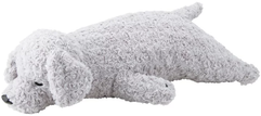 Toy Poodle Sesame L