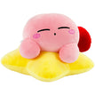 Kirby Warp Star 15