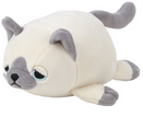 Sham Cat Joy