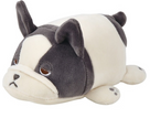 French Bulldog Buburu