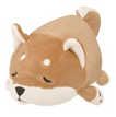 Shiba Inu Kotaro