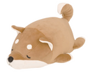 Shiba Inu Kotaro