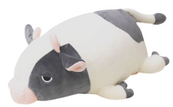 Cow Molly