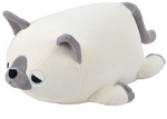 Sham Cat Leo