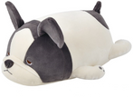 French Bulldog Buburu