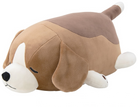 Beagle Vicky