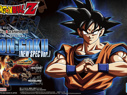Dragon Ball Model Kit