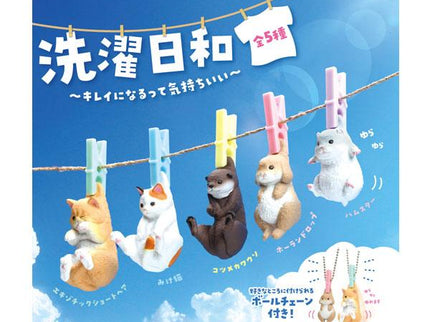 Laundry Day (Box of 10)