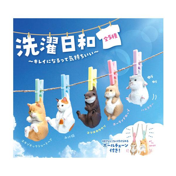 Laundry Day (Box of 10)