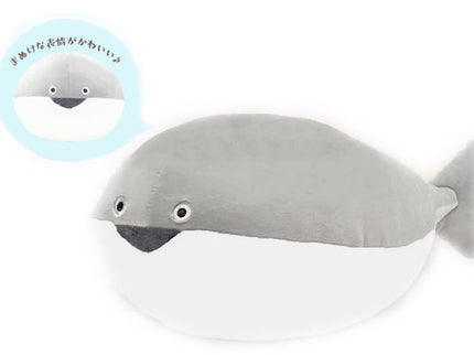 Sacabambaspis - Extinct Fish Series