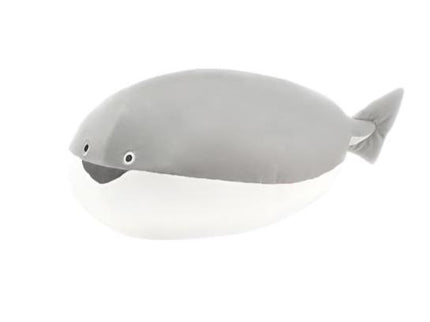 Sacabambaspis - Extinct Fish Series