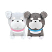 Schnauzer Dog