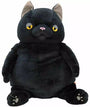 Black Cat