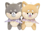 Shiba Dog