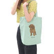 Toy Poodle Marche - Kahki