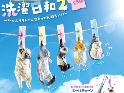 Laundry Day 2 (Box of 10)