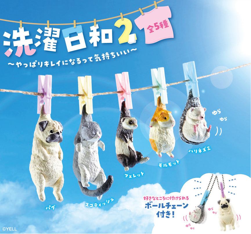 Laundry Day 2 (Box of 10)