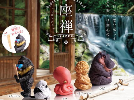 [NEW] Zazen 2 (Box of 10)