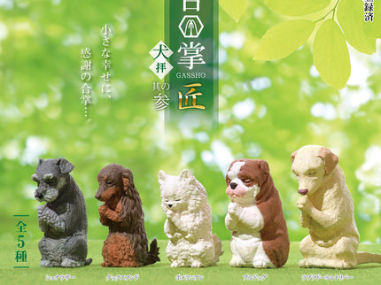 [NEW] Gassho Takumi Dog 3 (Box of 10)